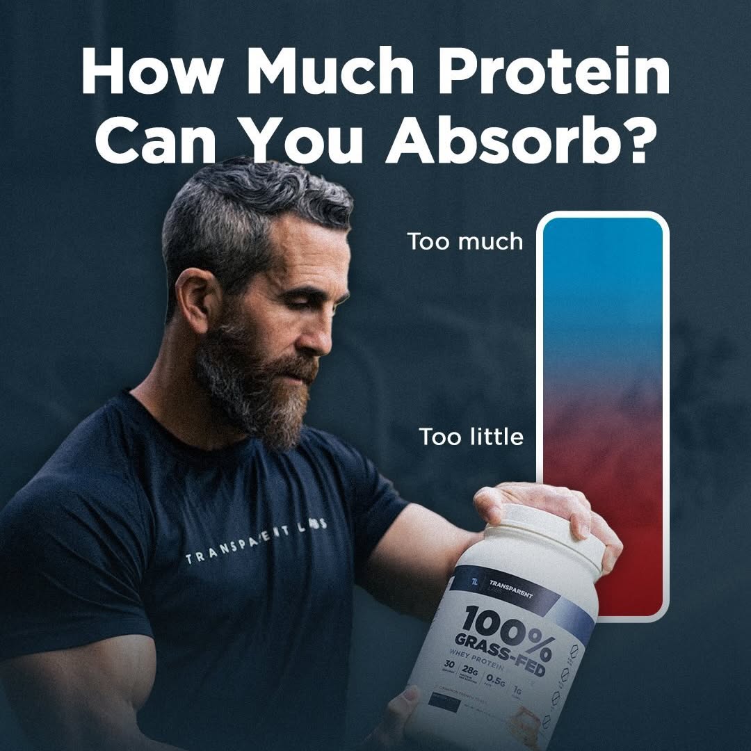 Is there a limit to protein intake?