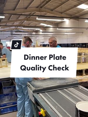 Can your plateware pass this test? #dinnerplate #todayilearned #plates #factorywork #behindthescenes 